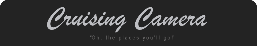 cruisingcamera.com logo